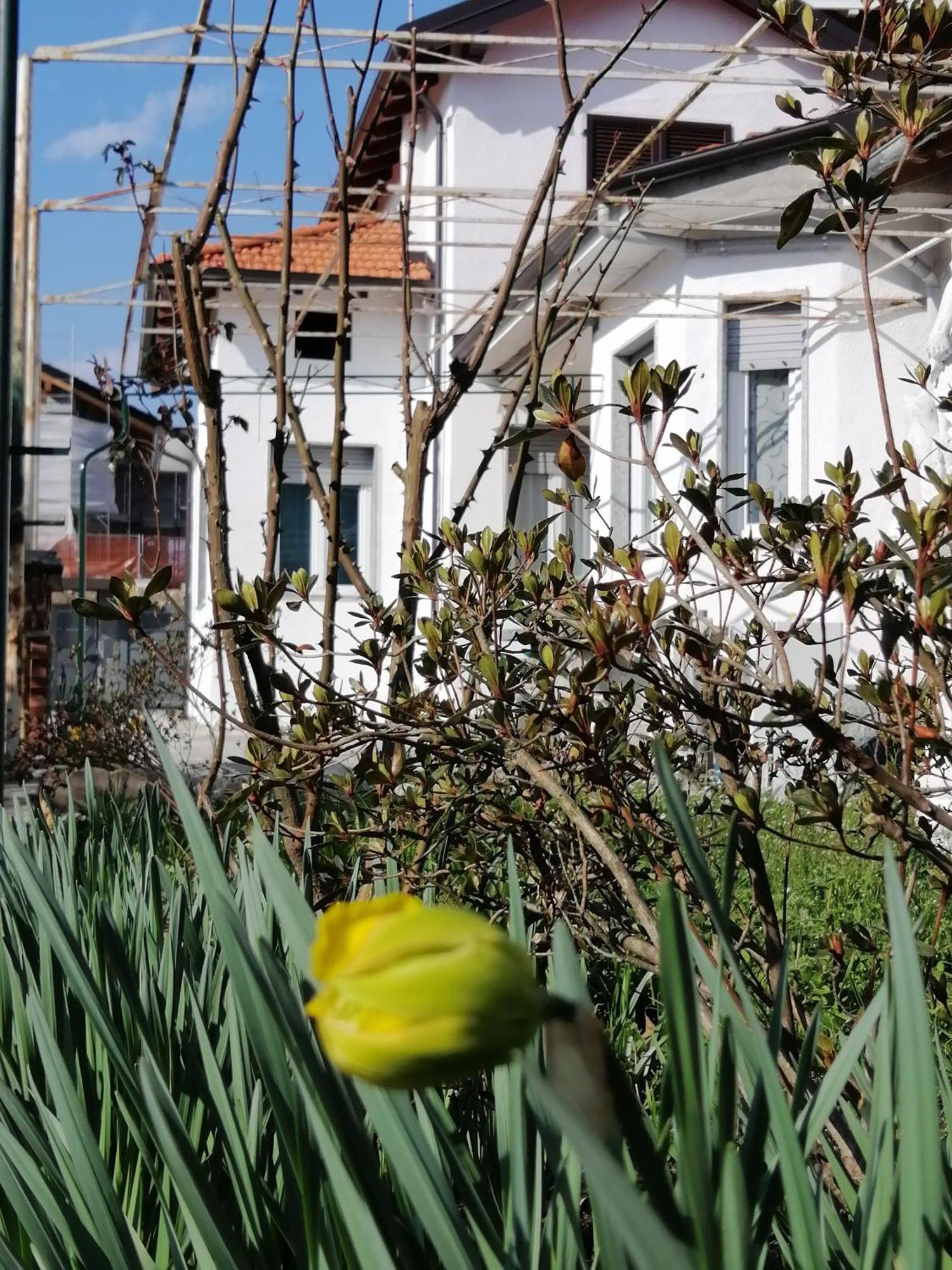 Casa Vacanze Terra Di Mezzo Invorio Inferiore Dış mekan fotoğraf